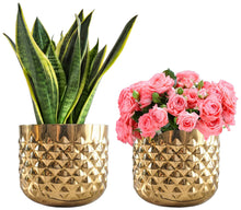 Load image into Gallery viewer, 2 Pack Hand-crafted Gold Pineapple Metal Planter Vase with 1/2 Gallon Capacity - Measures 6.1-inches Wide and 5.3-inches Tall
