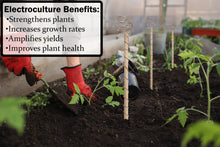 Load image into Gallery viewer, DIY Electroculture Gardening Tool Kit - Includes 6 Dowels, 21 Feet Copper Wire, and Wire Cutting Pliers