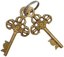 Load image into Gallery viewer, Solid Brass Turtle Padlock with 2 Keys, Beautiful Fully Functional Lock, Sturdy Eye-Catching Shiny Gold Color with Detailed Design