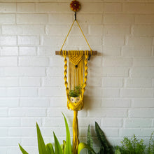 Load image into Gallery viewer, Vibrant Yellow Hand-crafted Macrame Hanging Plant Hanger with Ceramic Owl Planter and Decorative Flower Hook, About 3 Feet Tall