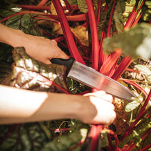 Load image into Gallery viewer, Fiskars Garden Hori Knife with Sheath, Forked Tip (340130-1001)