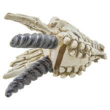 Load image into Gallery viewer, Snarling Magical Dragon Skull Creepy Coin Piggy Bank Polyresin Stash Storage Box