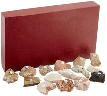 Load image into Gallery viewer, Contains 15 specimens representative of sedimentary rock | The rocks number-coded in a compartmented container | Sedimentary specimens are identified by clastic, chemical and organic categories | Comes in a compartmented container for easy storage | Recommended for grades 5-12