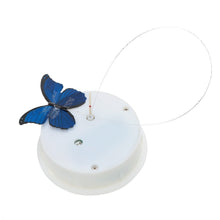 Load image into Gallery viewer, Animated Electronic Blue Morpho Butterfly in a Glass Jar - Tap to Activate - Illuminated