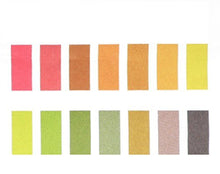 Load image into Gallery viewer, Pack of 100 Wide Range pH Test Paper, pH Range 1-14, 12mm Length, 3mm Width