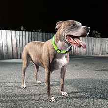 Load image into Gallery viewer, Green Light-Up LED Adjustable Pet Collar (Flashing or Steady Modes) - Rechargeable via USB Cable (Included) (Large)