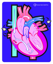 Load image into Gallery viewer, American Educational Human Heart Walk-Thru Mat, 60" Length x 50" Width
