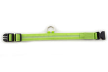 Load image into Gallery viewer, Green Light-Up LED Adjustable Pet Collar (Flashing or Steady Modes) - Rechargeable via USB Cable (Included) (Small)