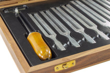 Load image into Gallery viewer, Set of 8 Tuning Forks with Mallet - Middle C to C Above Middle C (256 Hz, 288 Hz, 320 Hz, 341.3 Hz, 384 Hz, 426.6 Hz, 480 Hz, 512 Hz)