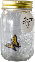 Load image into Gallery viewer, Simply tap the jar to activate the butterfly's realistic action. Ambient sound may also make it flutter! | The Glass Butterfly Jar measures approx. 17 cm x 9.5 cm x 9.5 cm | Takes 3 x AAA batteries (not included) | Your butterfly will move for around 90 seconds, Batteries have automatic standby so no need for a power button!
