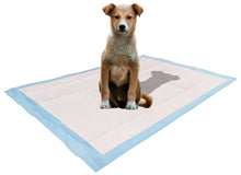 Load image into Gallery viewer, Large Leak-Proof Pee Pads for Dogs, 5 Layers with Attractive Scent to Improve Potty Training Success, 24" x 35"