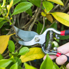 Load image into Gallery viewer, 8.5" Steel Pruning Shears - Gardening Hedge Trimmer - Bonsai / Branch Cutters