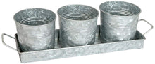 Load image into Gallery viewer, Set of 3 Galvanized Metal 5-Inch Flower Pots with Caddy Tray for Plants & Herbs or Silverware - Rustic Country, Mid-Century, Farmhouse Garden, Kitchen