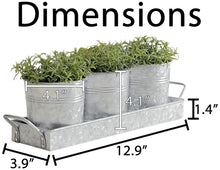 Load image into Gallery viewer, Set of 3 Galvanized Metal 5-Inch Flower Pots with Caddy Tray for Plants & Herbs or Silverware - Rustic Country, Mid-Century, Farmhouse Garden, Kitchen