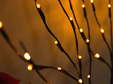 Load image into Gallery viewer, 4 Pack LED Branch Lights, Battery Operated Decorative Willow Branches with 20 Warm White Lights, 30 Inch Height, Bendable Design to Create Your Own Look