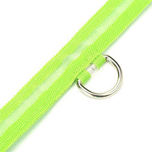 Load image into Gallery viewer, Green Light-Up LED Adjustable Pet Collar (Flashing or Steady Modes) - Rechargeable via USB Cable (Included) (Medium)