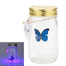 Load image into Gallery viewer, Blue Morpho Butterfly from the Science Purchase Butterfly collection | The Glass Butterfly Jar measures approx 6.5" x 4" x 4" | Takes 3 x AAA batteries (Not Included) | Beautiful illumination makes the jar and it's butterfly visible in the dark. | Simply tap the jar to activate the butterfly's realistic action. Ambient sound may also make it flutter!