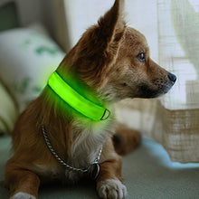 Load image into Gallery viewer, Small Size - Adjustable from approximately 12" to 14" | Vehicles will see your pet well in advance with this bright, illuminated collar | Easy to operate - simply squeeze the button on to cycle the 4 different modes: Fast Flashing, Slow Flashing, On, and Off | Built-in rechargeable battery charges via Micro-USB cable (included) | Features an adjustable strap, sturdy buckle, and a heavy-duty D-ring for attaching a leash