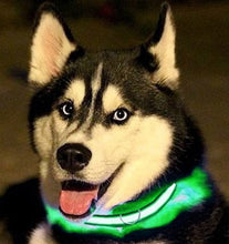 Load image into Gallery viewer, Large Size - Adjustable from approximately 15" to 21" | Vehicles will see your pet well in advance with this bright, illuminated collar | Easy to operate - simply squeeze the button on to cycle the 4 different modes: Fast Flashing, Slow Flashing, On, and Off | Built-in rechargeable battery charges via Micro-USB cable (included) | Features an adjustable strap, sturdy buckle, and a heavy-duty D-ring for attaching a leash