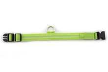 Load image into Gallery viewer, Green Light-Up LED Adjustable Pet Collar (Flashing or Steady Modes) - Rechargeable via USB Cable (Included) (Medium)