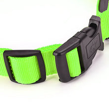 Load image into Gallery viewer, Green Light-Up LED Adjustable Pet Collar (Flashing or Steady Modes) - Rechargeable via USB Cable (Included) (Medium)