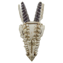 Load image into Gallery viewer, Snarling Magical Dragon Skull Creepy Coin Piggy Bank Polyresin Stash Storage Box