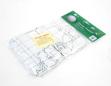 Load image into Gallery viewer, American Educational Vinyl Clever Catch Writable Globe Ball, 24" Diameter