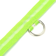 Load image into Gallery viewer, Green Light-Up LED Adjustable Pet Collar (Flashing or Steady Modes) - Rechargeable via USB Cable (Included) (Small)