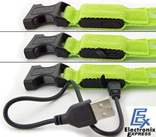 Load image into Gallery viewer, Green Light-Up LED Adjustable Pet Collar (Flashing or Steady Modes) - Rechargeable via USB Cable (Included) (Medium)