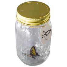 Load image into Gallery viewer, Animated Electronic Yellow Swallowtail Butterfly in a Jar - Tap to Activate, LED Illuminated