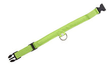Load image into Gallery viewer, Green Light-Up LED Adjustable Pet Collar (Flashing or Steady Modes) - Rechargeable via USB Cable (Included) (Medium)