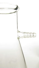 Load image into Gallery viewer, American Educational Clear Borosilicate Glass 1000mL Bomex Filtering Flask