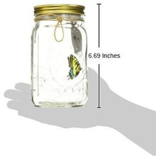 Load image into Gallery viewer, Animated Electronic Yellow Swallowtail Butterfly in a Jar - Tap to Activate, LED Illuminated