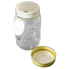 Load image into Gallery viewer, Animated Electronic Yellow Swallowtail Butterfly in a Jar - Tap to Activate, LED Illuminated