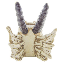 Load image into Gallery viewer, Snarling Magical Dragon Skull Creepy Coin Piggy Bank Polyresin Stash Storage Box