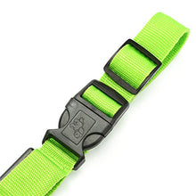 Load image into Gallery viewer, Green Light-Up LED Adjustable Pet Collar (Flashing or Steady Modes) - Rechargeable via USB Cable (Included) (Medium)