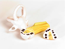 Load image into Gallery viewer, American Educational Large Ear Model