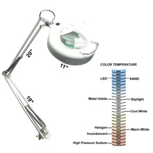 Load image into Gallery viewer, 39&quot; Adjustable Spring Balanced LED Magnifier Lamp with 5&quot; Glass Lens, 5 Diopter, Ultra Bright 6400K (Daylight) Light
