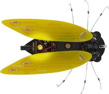 Load image into Gallery viewer, Whadda Electronic Cicada Bug - Soldering Practice and Electrical Engineering D.I.Y. Kit (WSAK204)

