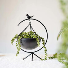 Load image into Gallery viewer, Elegant Matte Black Metal Bird Floor-Standing Indoor Planter with Hanging Bowl for Small Plants, 13-inches Tall x 8.6-inches Wide
