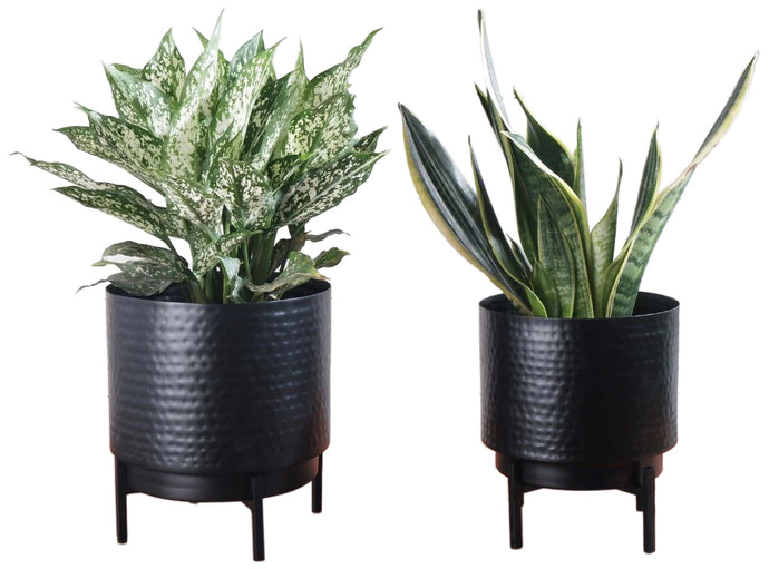 Set of 2 Different Size Hammered Black Metal Tabletop Indoor Planters with Stands - Includes 4/5 Gallon and 1/2 Gallon Pots for Small Plants