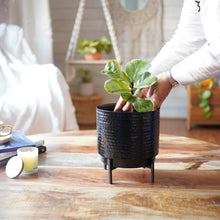 Load image into Gallery viewer, Set of 2 Different Size Hammered Black Metal Tabletop Indoor Planters with Stands - Includes 4/5 Gallon and 1/2 Gallon Pots for Small Plants
