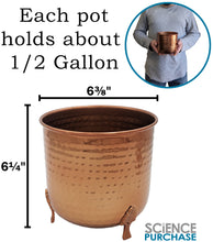 Load image into Gallery viewer, 2 Pack Hand-crafted Hammered Metal Metal Leaf Leg Planter Vase with 1/2 Gallon Capacity - Copper Color, Measures 6⅜&quot; Wide and 6¼&quot; Tall
