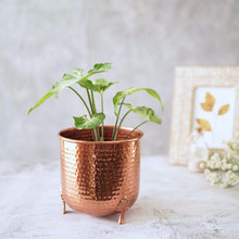 Load image into Gallery viewer, Hand-crafted Hammered Metal Metal Leaf Leg Planter Vase with 1/2 Gallon Capacity - Copper Color, Measures 6⅜&quot; Wide and 6¼&quot; Tall
