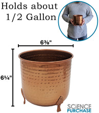 Load image into Gallery viewer, Hand-crafted Hammered Metal Metal Leaf Leg Planter Vase with 1/2 Gallon Capacity - Copper Color, Measures 6⅜&quot; Wide and 6¼&quot; Tall
