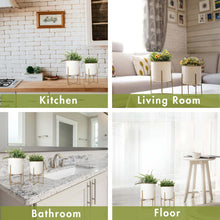 Load image into Gallery viewer, Set of 2 Different Size Hammered Off-White &amp; Gold Metal Tabletop Indoor Planters with Stands - Includes 1 Gallon and 2/3 Gallon Pot for Small to Medium Plants
