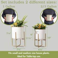 Load image into Gallery viewer, Set of 2 Different Size Hammered Off-White &amp; Gold Metal Tabletop Indoor Planters with Stands - Includes 1 Gallon and 2/3 Gallon Pot for Small to Medium Plants
