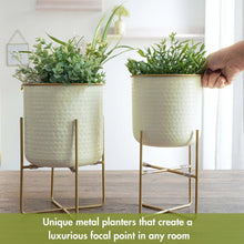 Load image into Gallery viewer, Set of 2 Different Size Hammered Off-White &amp; Gold Metal Tabletop Indoor Planters with Stands - Includes 1 Gallon and 2/3 Gallon Pot for Small to Medium Plants

