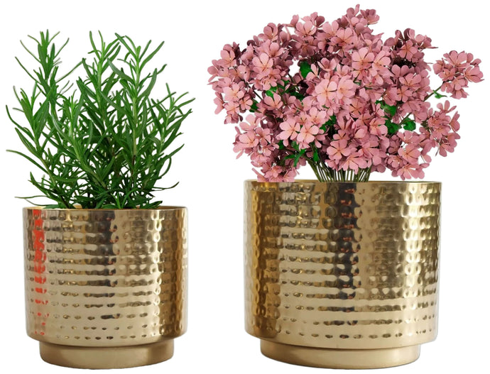 2 gallon pots for plants SciencePurchase 1/2 Gallon and 2/5 Gallon Hammered Gold Color Metal Pots for Indoor / Tabletop