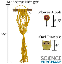 Load image into Gallery viewer, Vibrant Yellow Hand-crafted Macrame Hanging Plant Hanger with Ceramic Owl Planter and Decorative Flower Hook, About 3 Feet Tall
